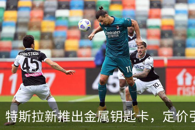 特斯拉新推出金属钥匙卡，定价引发争议