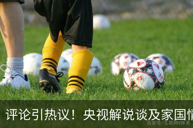 评论引热议！央视解说谈及家国情怀时未提李娜